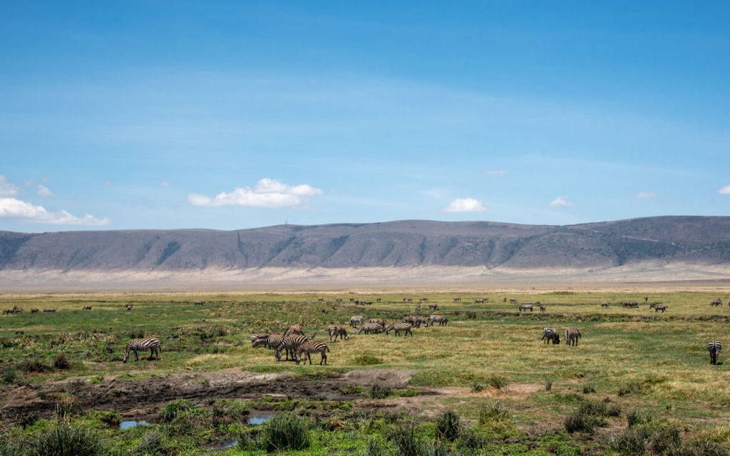 Ngorongoro Ark